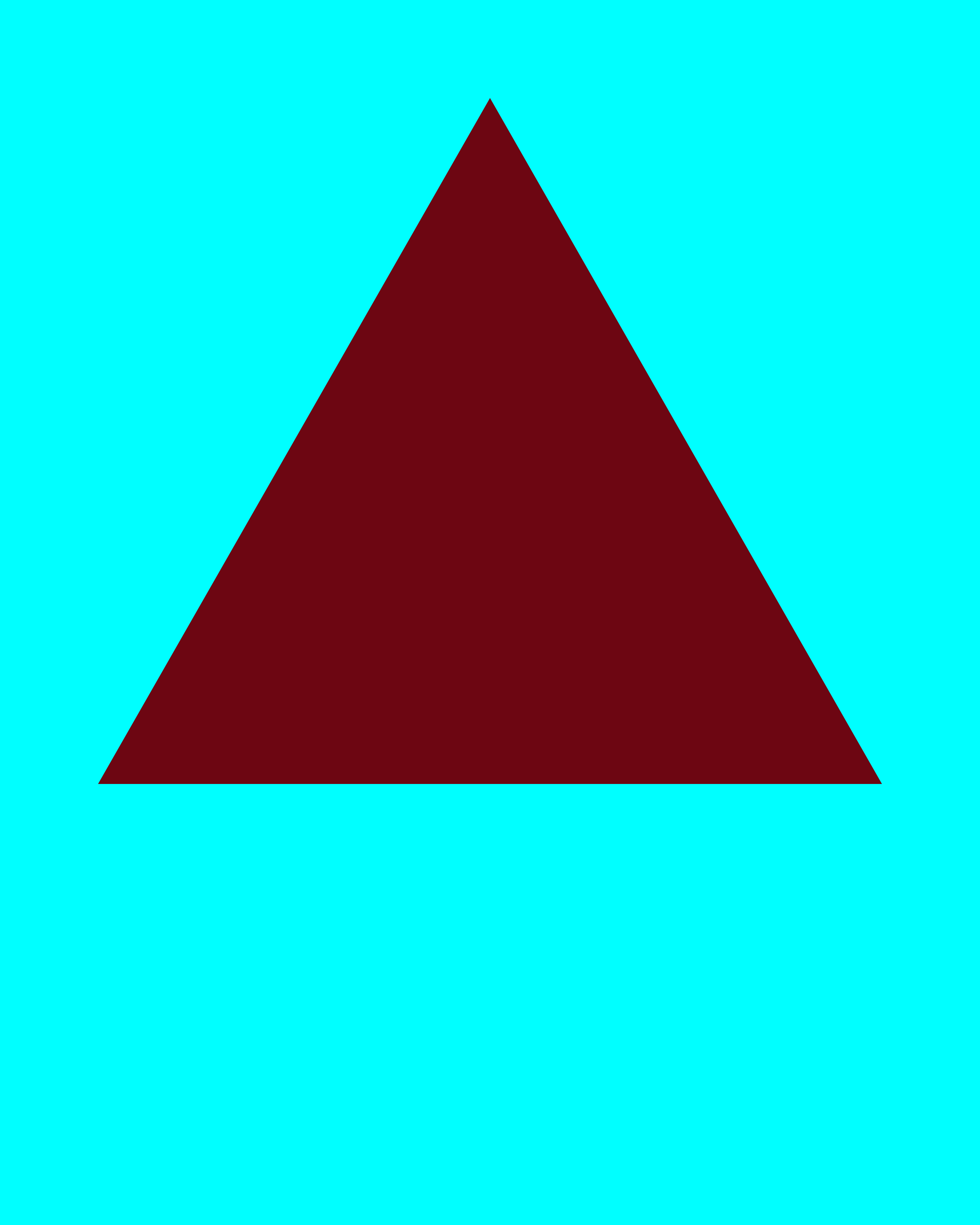 Form 04