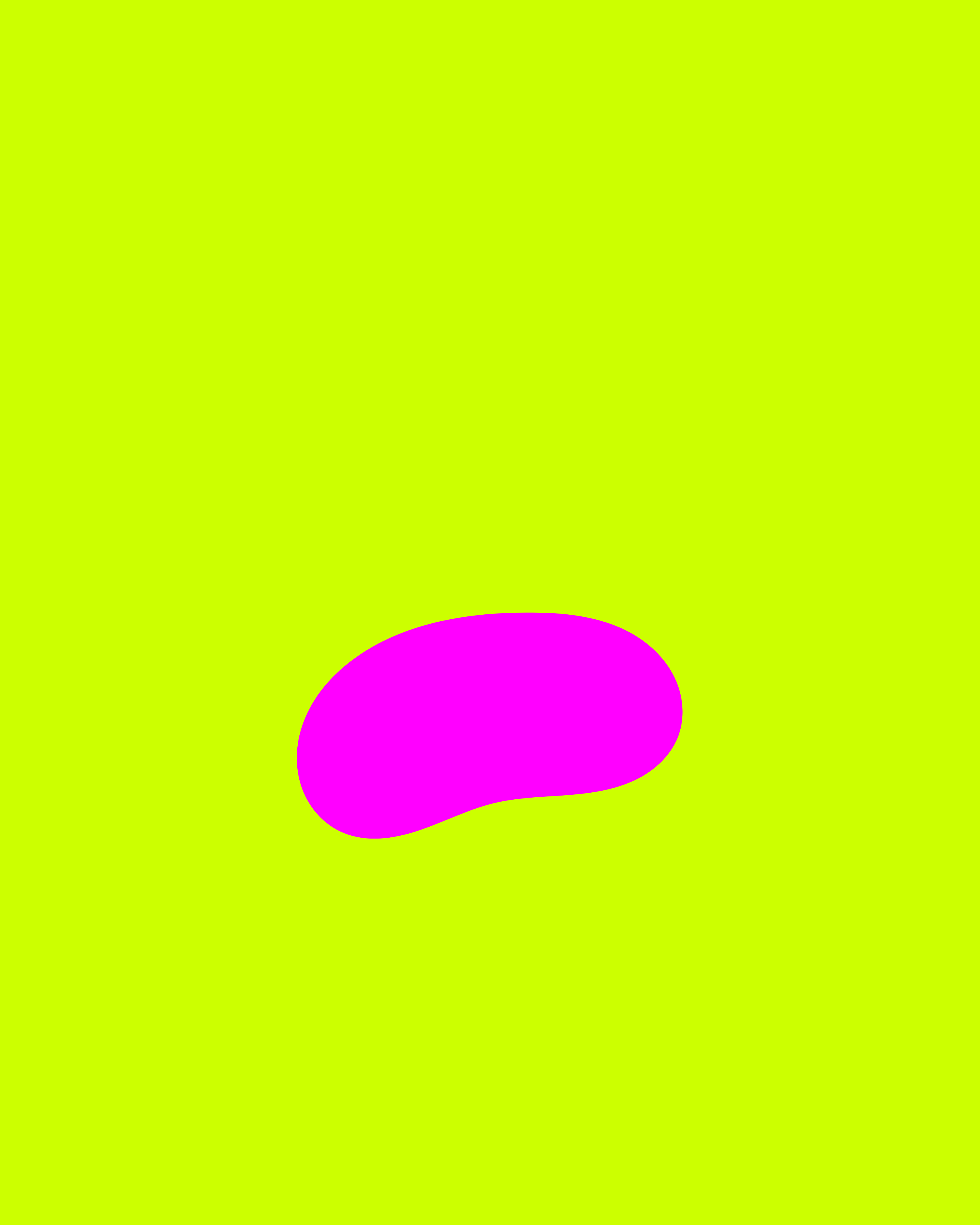 Form 06